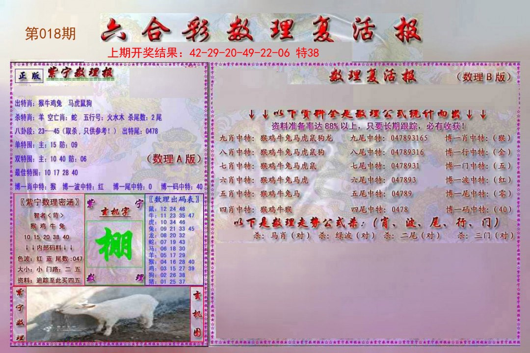 018期数理复活报[图]