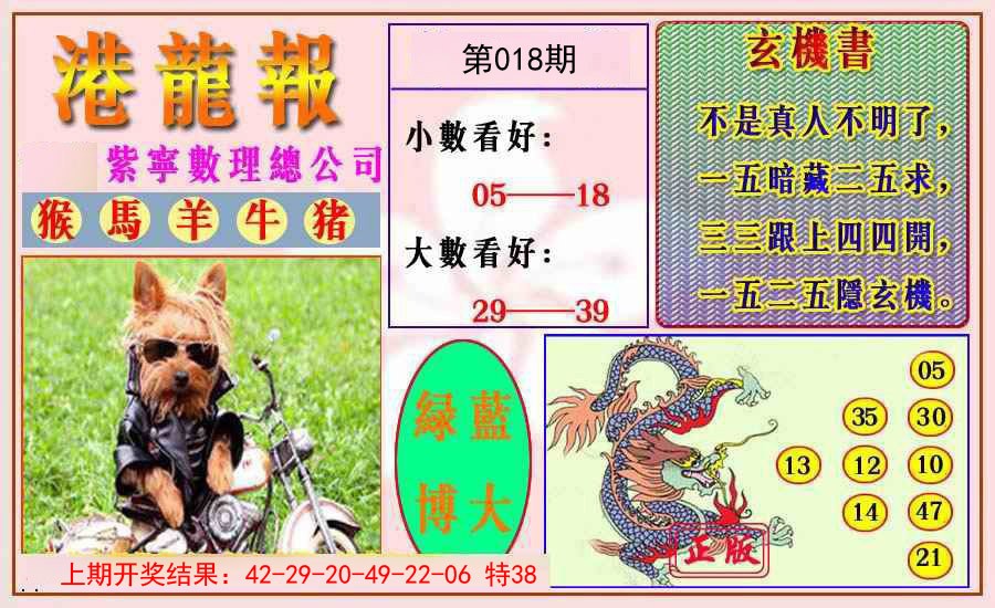 018期港龙报[图]