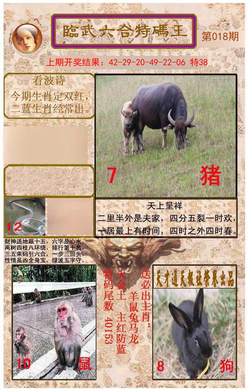 018期临武六合特码王[图]