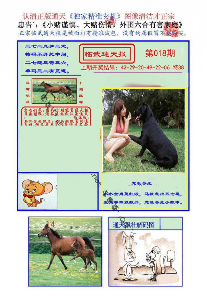 018期临武通天报[图]