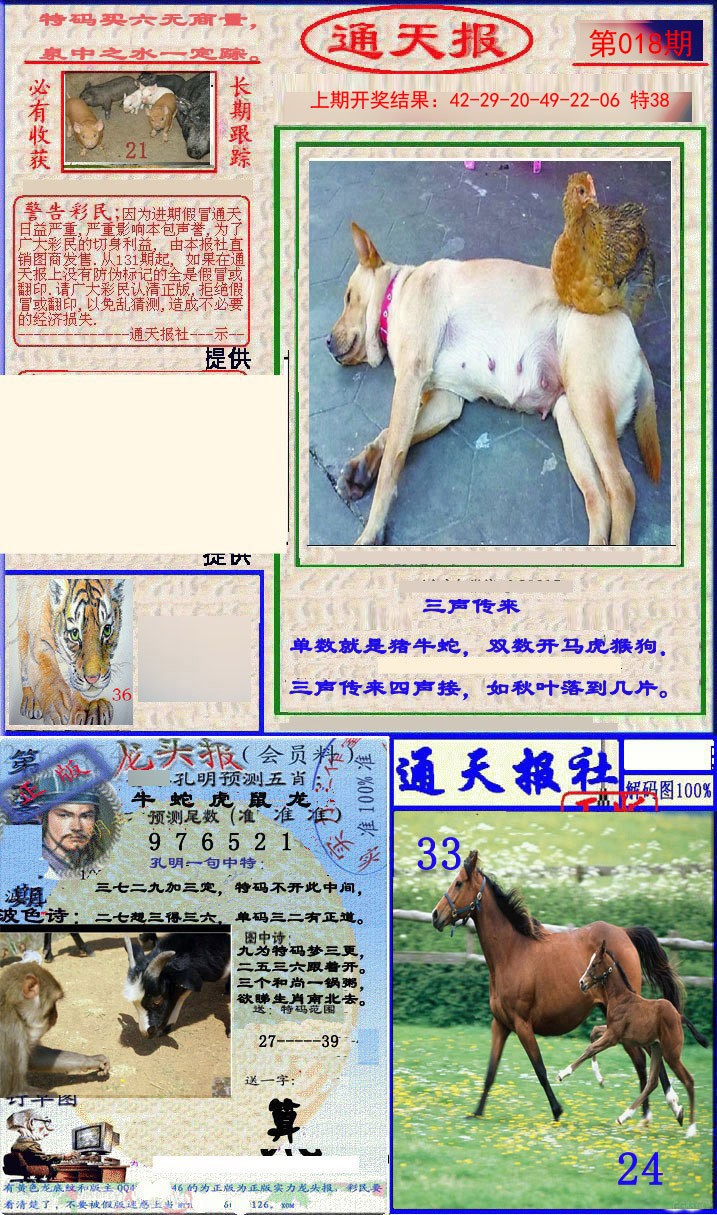 018期实力通天报[图]