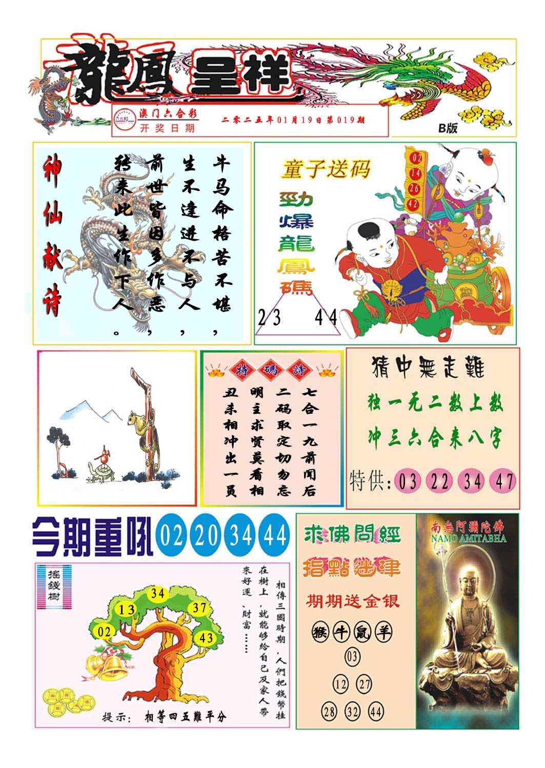 019期龙凤呈祥B[图]