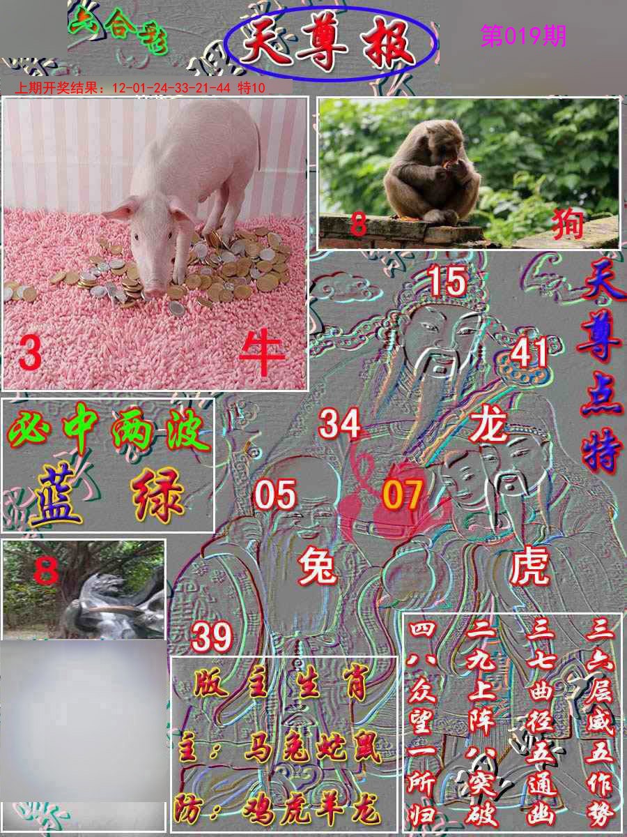 019期天尊报[图]