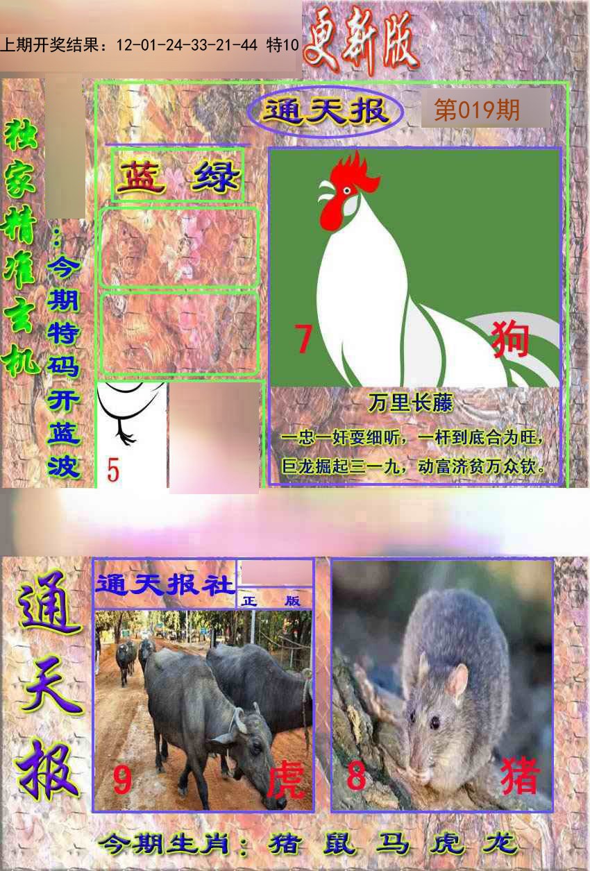 019期新通报[图]