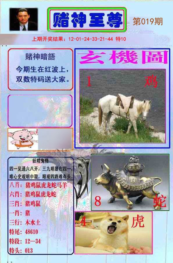 019期赌神至尊[图]