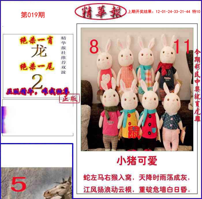 019期新精华报报[图]