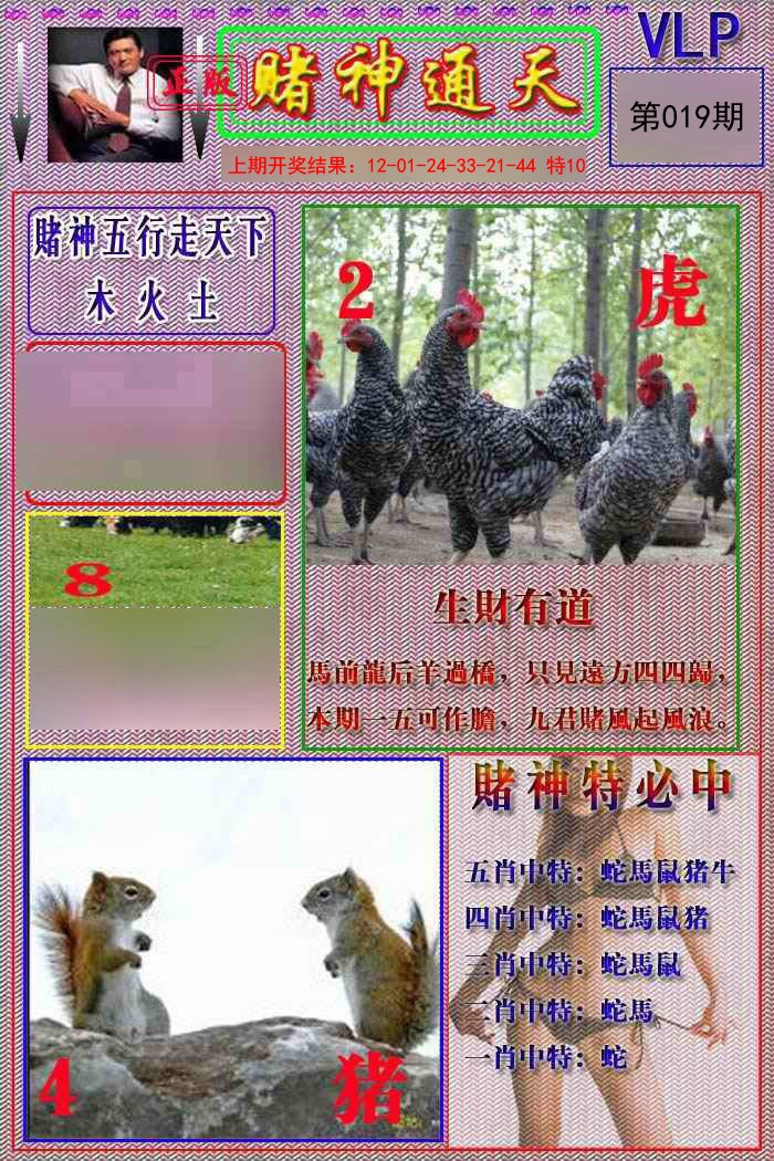 019期赌神通天报[图]