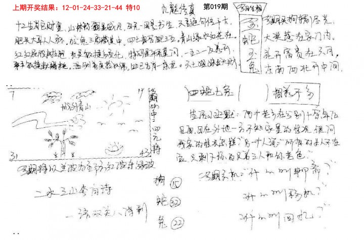 019期手写九龙内幕[图]