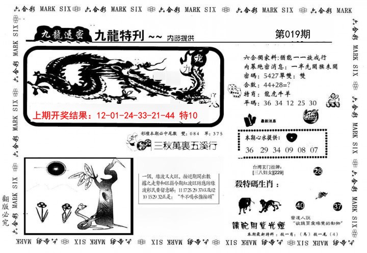 019期九龙特新刊[图]