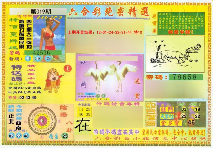 019期绝密精选A[图]