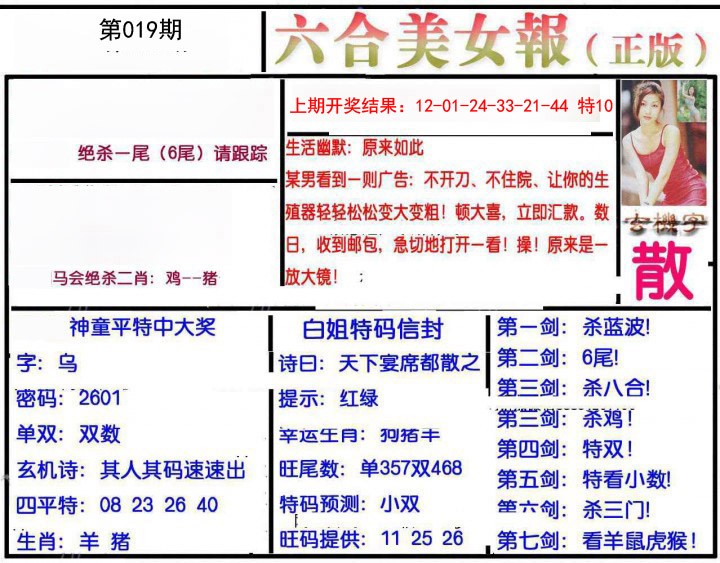 019期美女报[图]