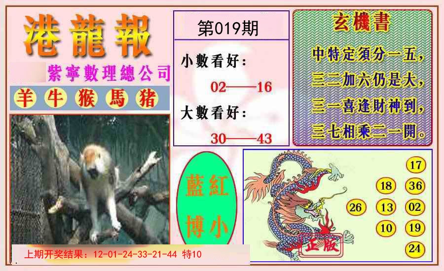 019期港龙报[图]