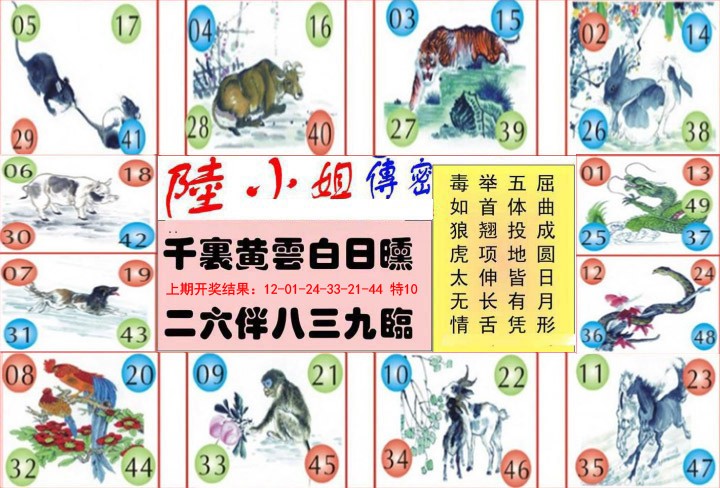 019期陆小姐传密B[图]