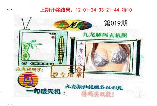 019期九龙报[图]