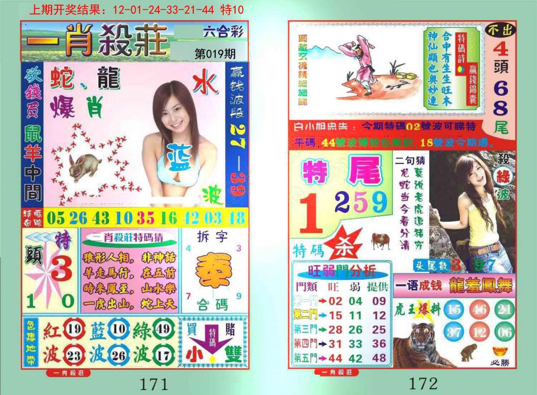 019期一夜富[图]