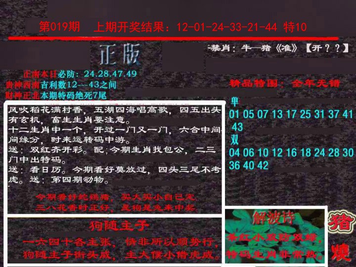 019期新港内幕[图]