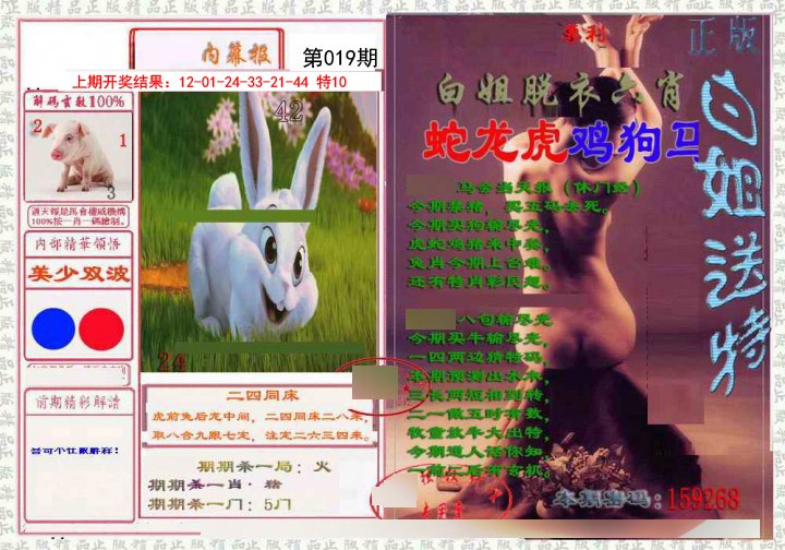 019期日月内幕报[图]