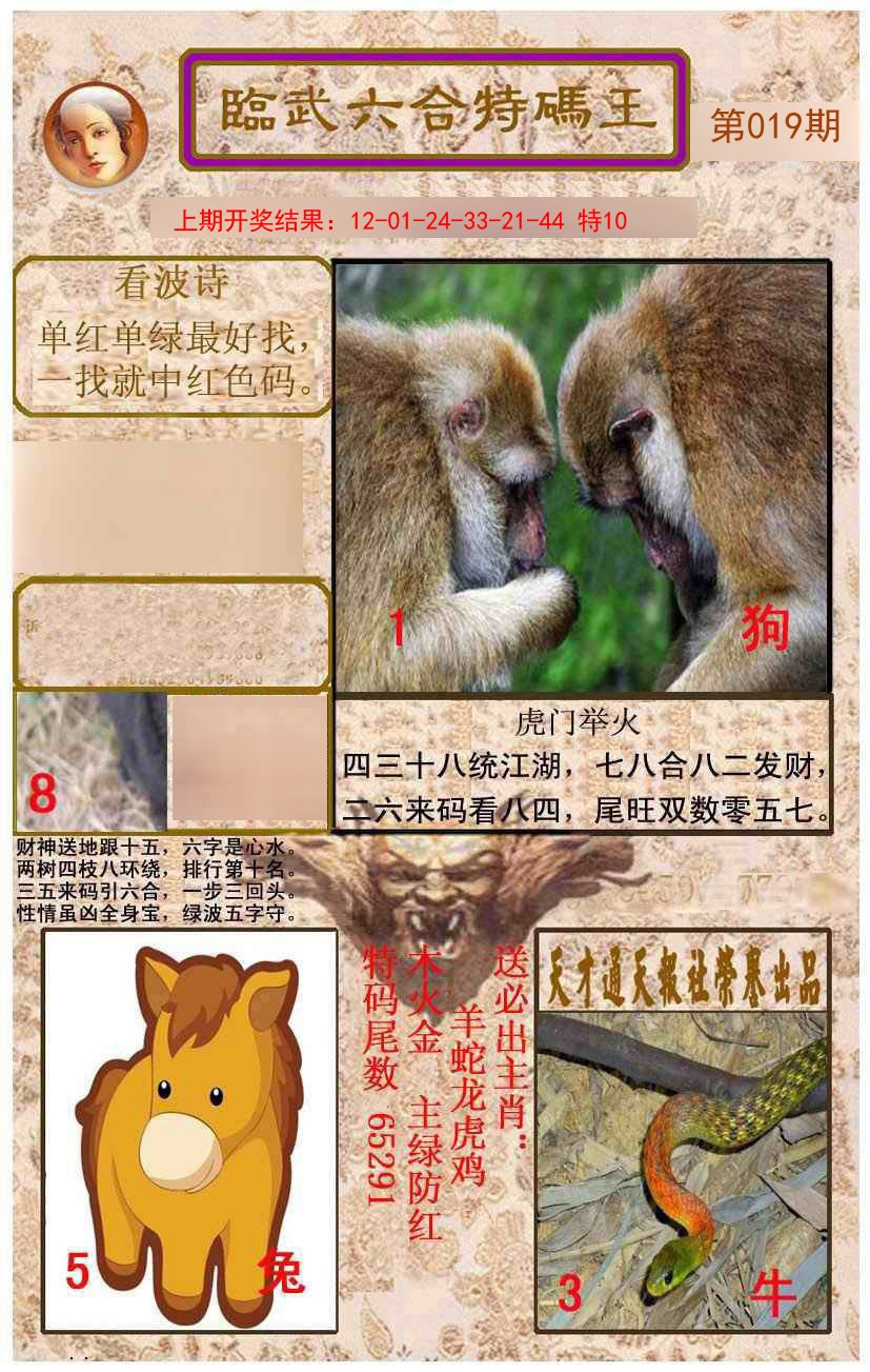 019期临武六合特码王[图]