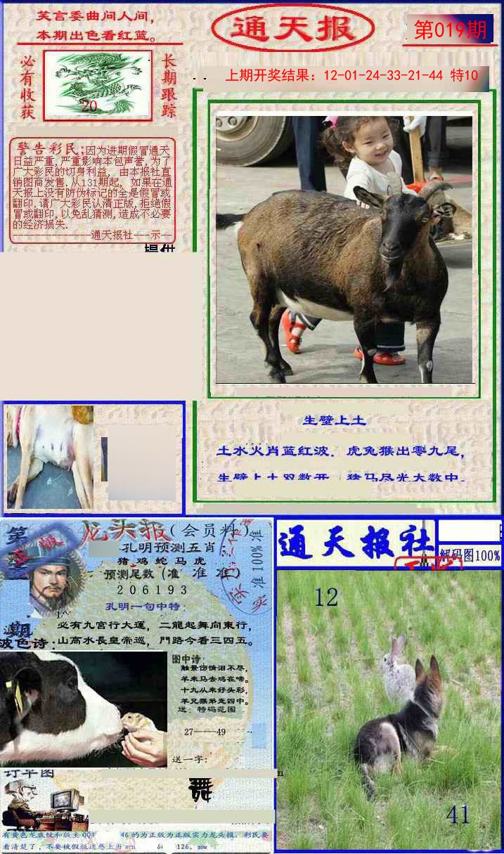 019期实力通天报[图]