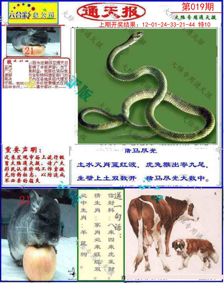 019期大陆通天报[图]