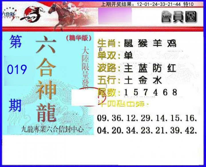 019期六合神龙[图]