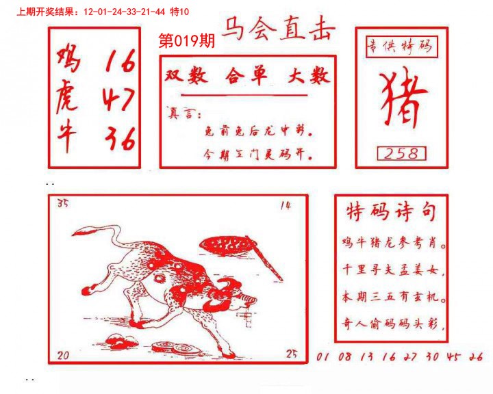 019期马会直击[图]