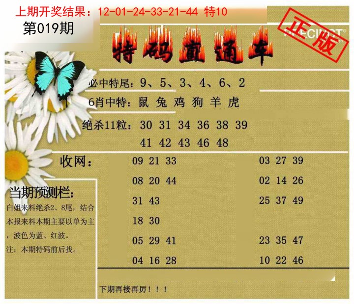 019期特码直通车[图]