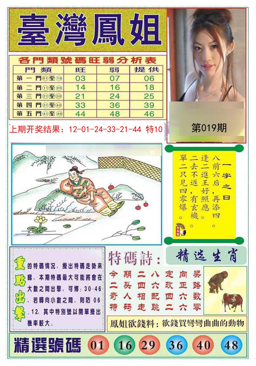 019期台湾凤姐[图]