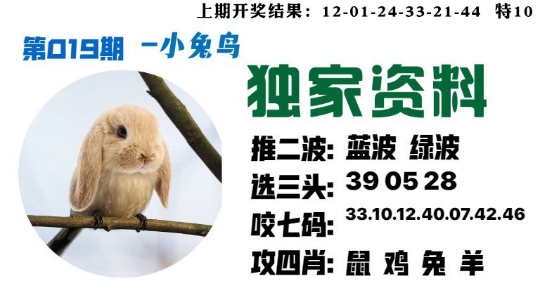 019期小兔鸟[图]
