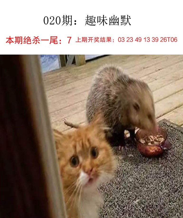 020期趣味幽默[图]