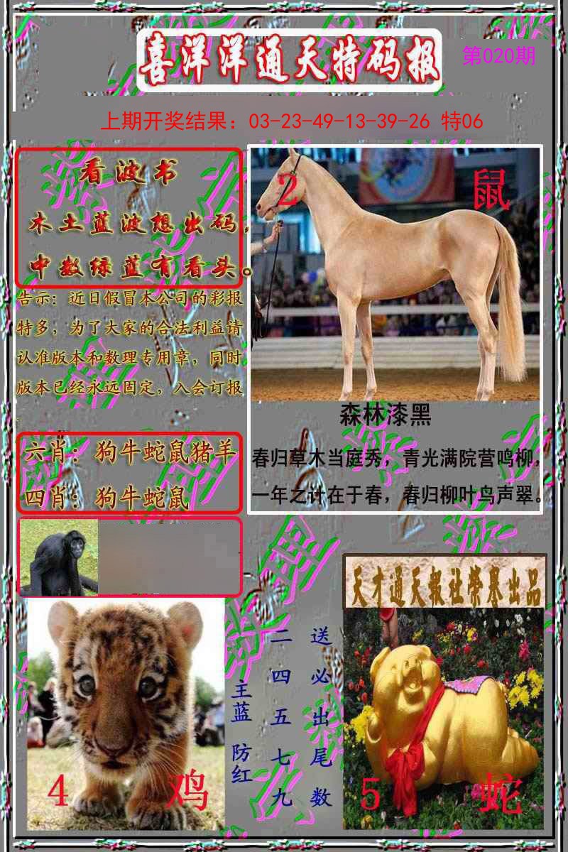 020期洋通报[图]