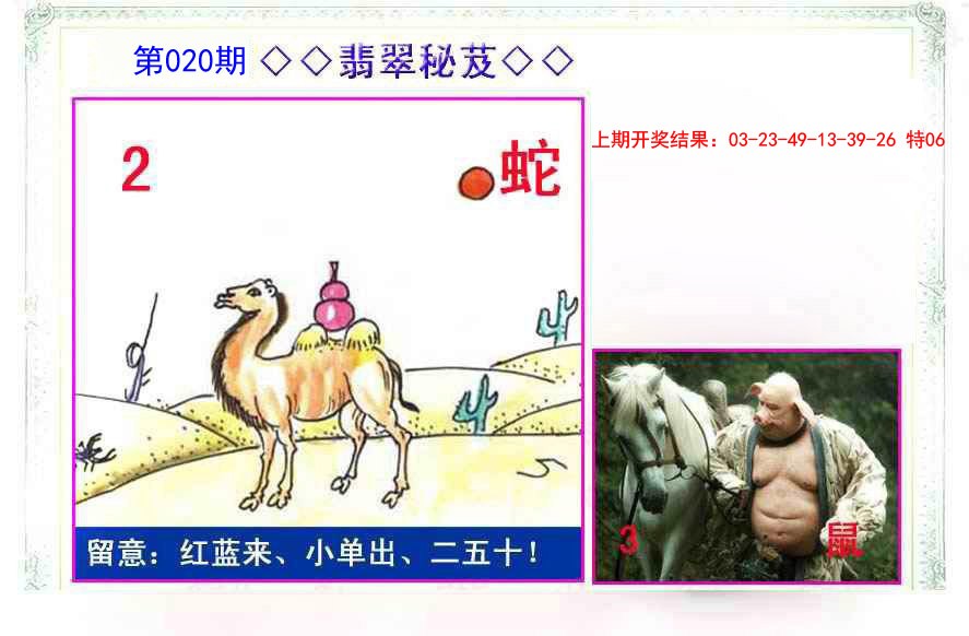 020期翡翠报[图]