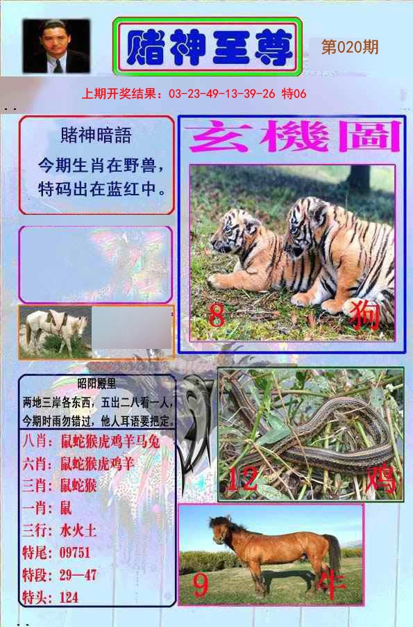 020期赌神至尊[图]
