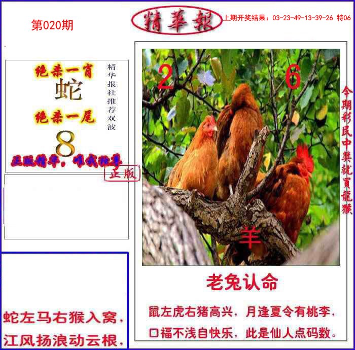 020期新精华报报[图]