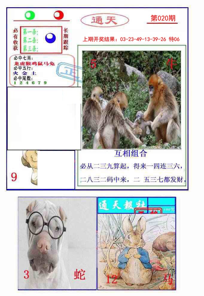 020期通天杀波图2[图]