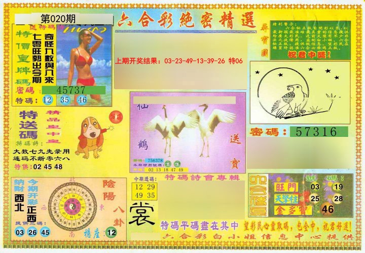 020期绝密精选A[图]