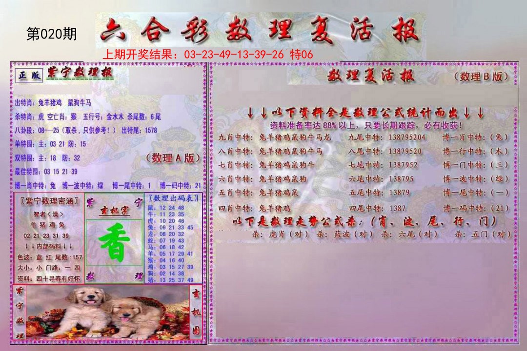 020期数理复活报[图]