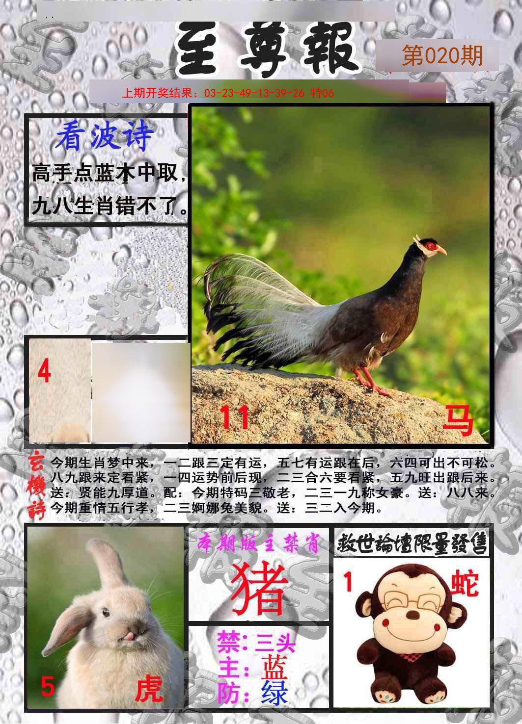 020期至尊报[图]