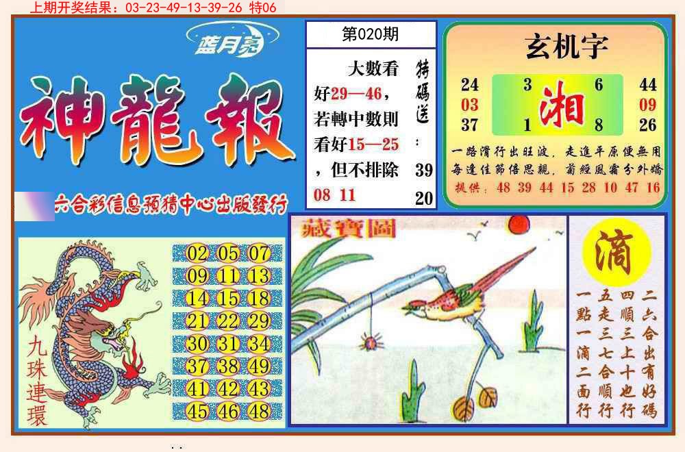 020期神龙报[图]