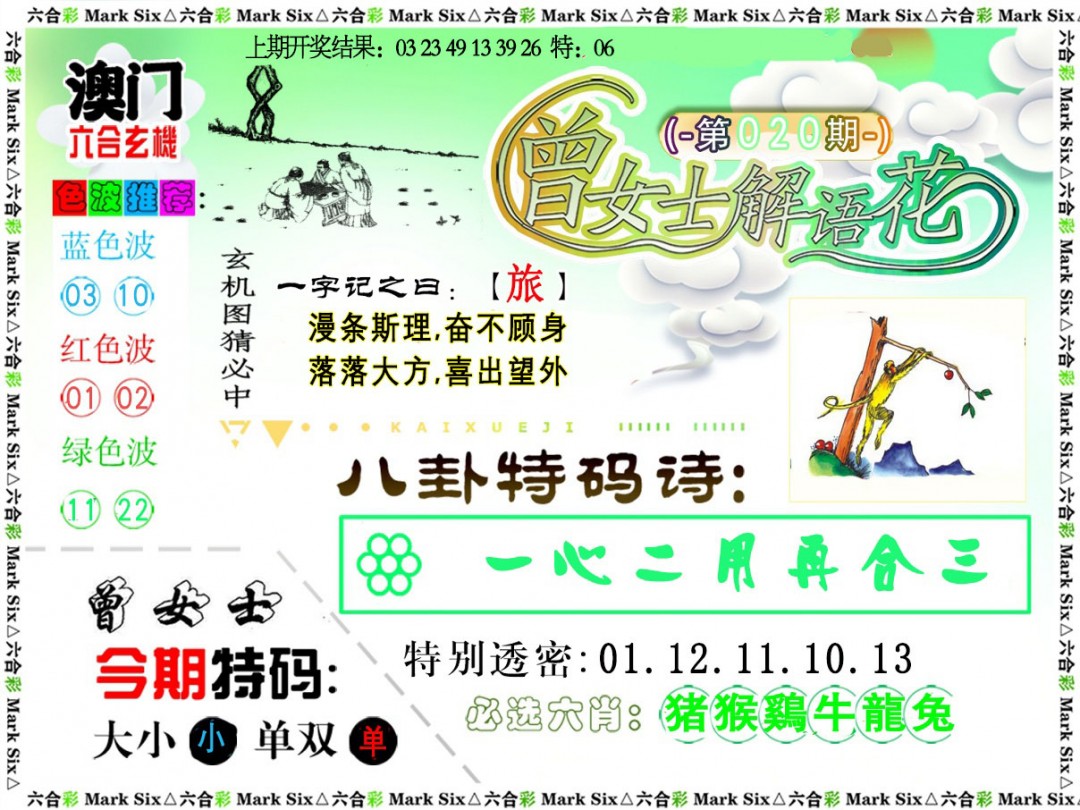 020期曾女士解语花[图]