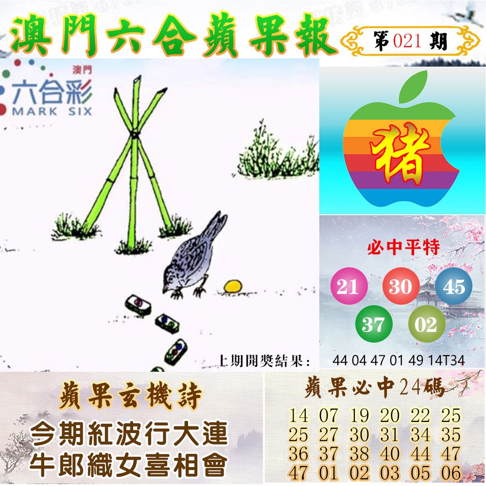 021期苹果报[图]