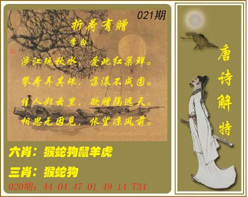 021期唐诗解特[图]