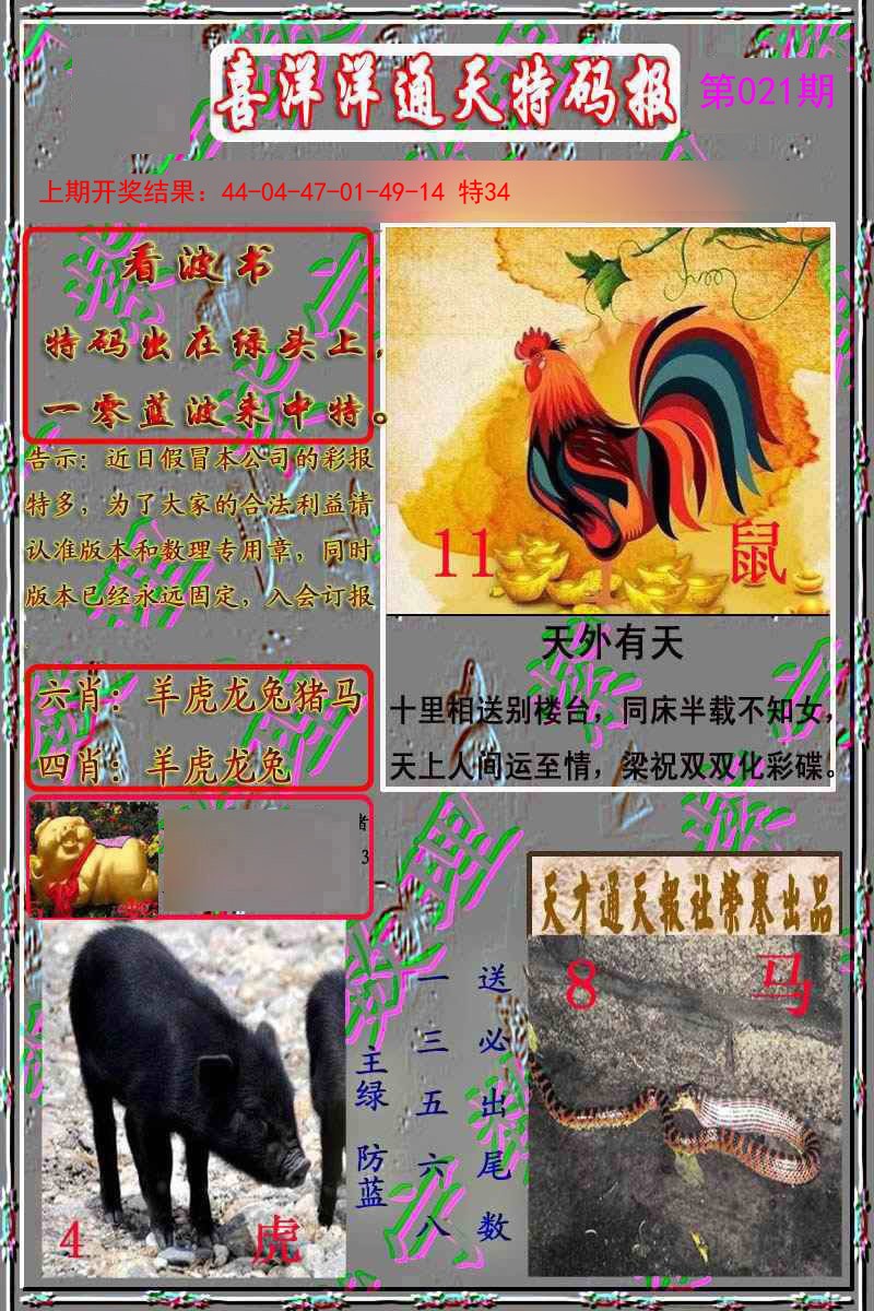 021期洋通报[图]