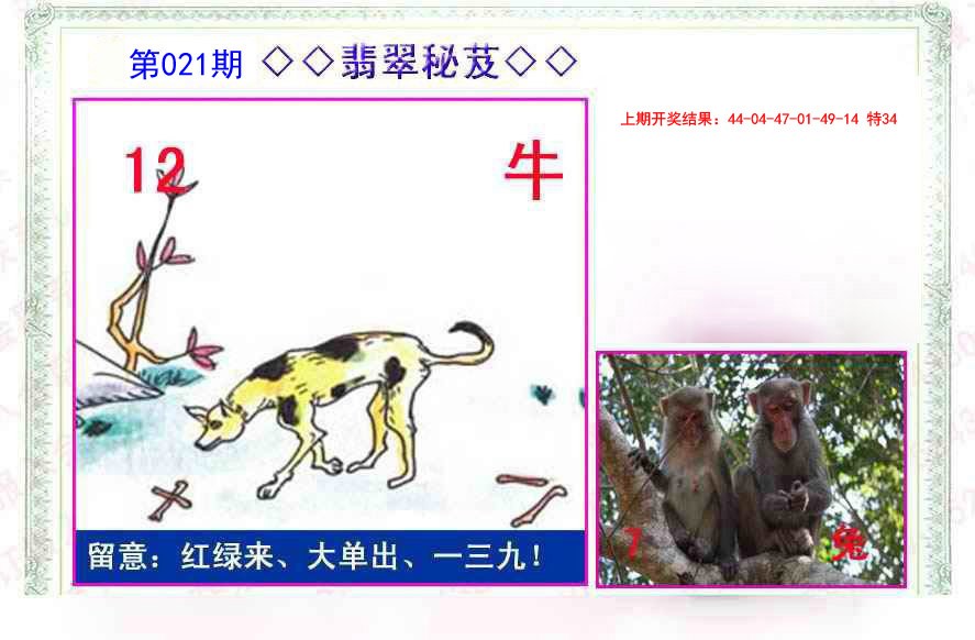 021期翡翠报[图]