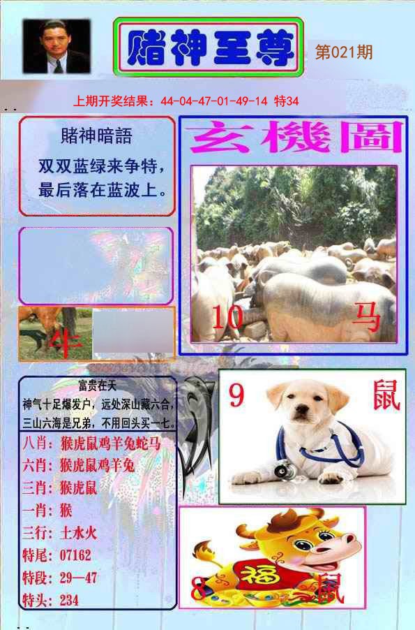 021期赌神至尊[图]