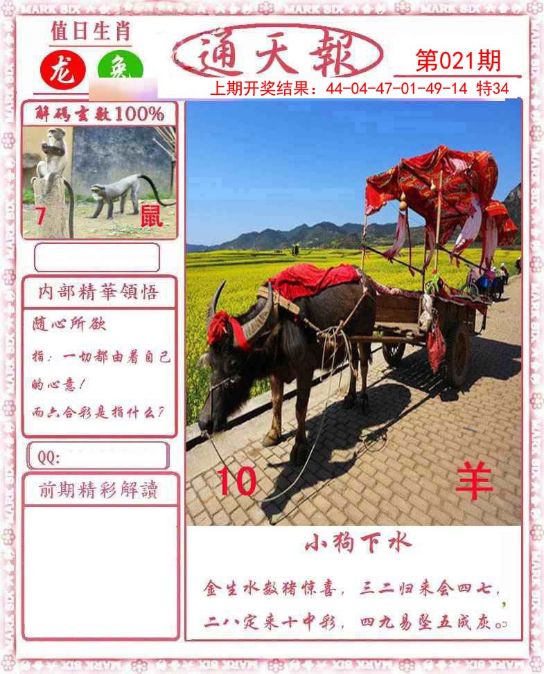 021期正版通天报[图]