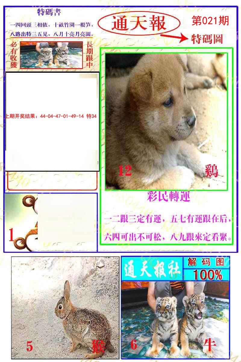 021期通天特解图[图]