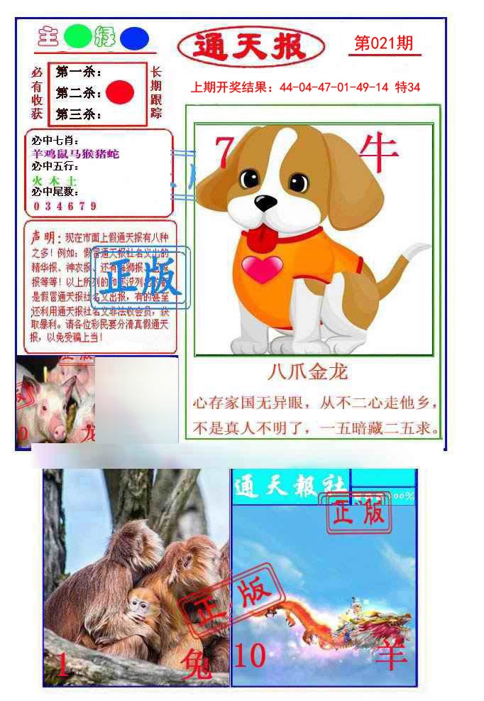 021期通天杀波图1[图]