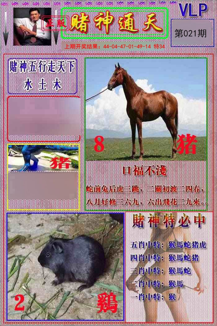 021期赌神通天报[图]