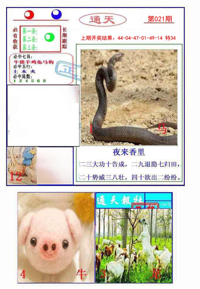 021期通天杀波图2[图]